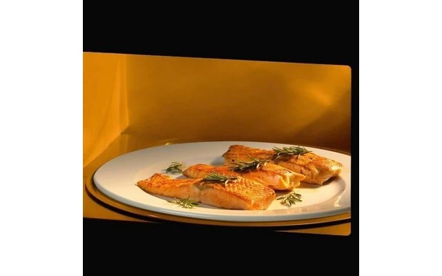 Waeco Dometic OG 2000 Einbaugasofen Mit Grill Und Drehteller 20 Liter 2 Waeco Dometic OG 2000 Einbaugasofen Mit Grill Und Drehteller 20 Liter – Bild 2