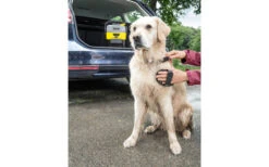 Kärcher Mobile Outdoor Cleaner OC 3 Akku-Niedrigdruckreiniger Inklusive Pet Box 6 Kärcher Mobile Outdoor Cleaner OC 3 Akku-Niedrigdruckreiniger Inklusive Pet Box -Outwell Verkaufsgeschäft 284609 2413534