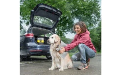 Kärcher Mobile Outdoor Cleaner OC 3 Akku-Niedrigdruckreiniger Inklusive Pet Box 7 Kärcher Mobile Outdoor Cleaner OC 3 Akku-Niedrigdruckreiniger Inklusive Pet Box -Outwell Verkaufsgeschäft 284611 2413555