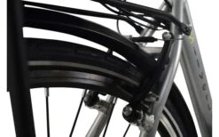 LLobe SilverLine City-E-Bike 28 Zoll 10 Ah Silber -Outwell Verkaufsgeschäft 454685 3149429