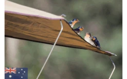 Gordigear Dachzelt 165 Plus Für 3 Personen Mit Vorzelt 165 X 320 Cm Grün 13 Gordigear Dachzelt 165 Plus Für 3 Personen Mit Vorzelt 165 X 320 Cm Grün -Outwell Verkaufsgeschäft 585663 3986115