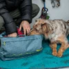 Ruffwear Haul Bag Reisetasche Für Hundeausrüstung Slate Blue One Size