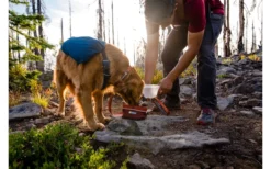 Ruffwear Quencher Hundenapf Für Unterwegs Fired Brick S -Outwell Verkaufsgeschäft 592579 4304783