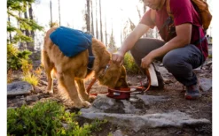 Ruffwear Quencher Hundenapf Für Unterwegs Turnalo Teal M -Outwell Verkaufsgeschäft 592835 4304791 1