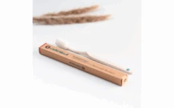 Chinchilla Zahnbürste Biologisch Abbaubar 1 Stück -Outwell Verkaufsgeschäft 607827 4419167