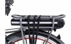 Llobe Rosendaal 3 Lady City E-Bike 28 Zoll Grau 13 Ah -Outwell Verkaufsgeschäft 663528 4604373