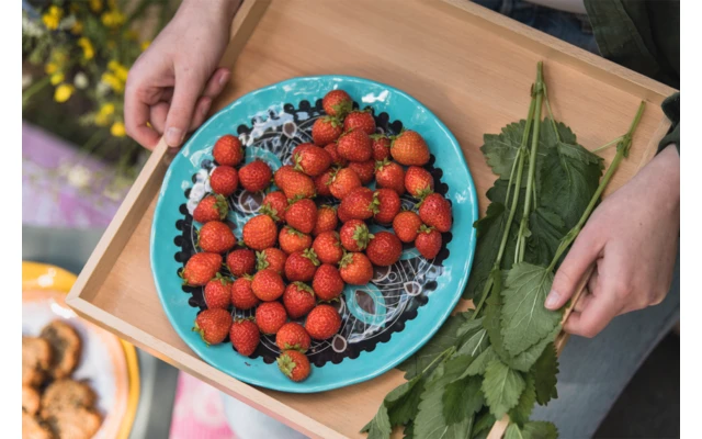 Rebel Outdoor Dessertteller 22 Cm Gelb 1 Rebel Outdoor Dessertteller 22 Cm Gelb