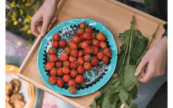 Rebel Outdoor Dessertteller 22 Cm Schwarz