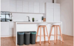 Rotho Twist Abfalleimer Mit Schwing- Und Klappdeckel 25 Liter Mistletoe Grün -Outwell Verkaufsgeschäft 688593 4830146